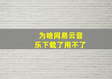 为啥网易云音乐下载了用不了