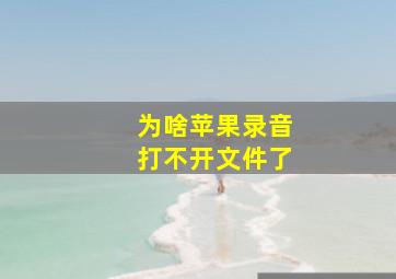 为啥苹果录音打不开文件了