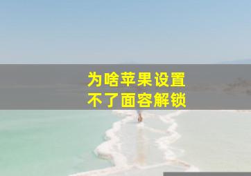 为啥苹果设置不了面容解锁