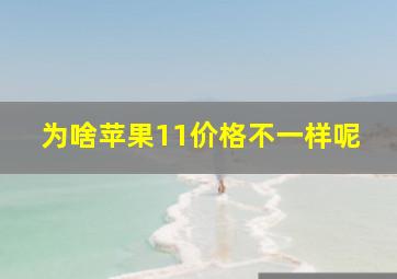 为啥苹果11价格不一样呢