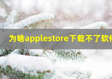 为啥applestore下载不了软件