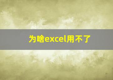 为啥excel用不了