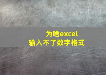 为啥excel输入不了数字格式