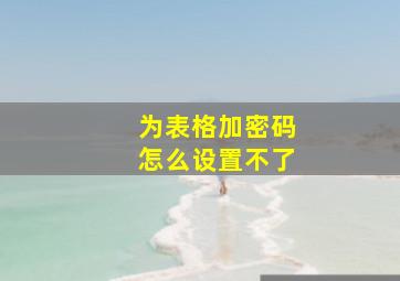 为表格加密码怎么设置不了