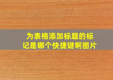 为表格添加标题的标记是哪个快捷键啊图片