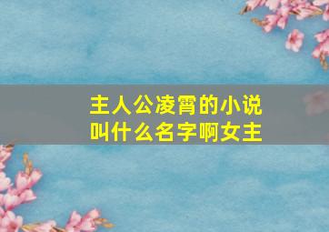 主人公凌霄的小说叫什么名字啊女主