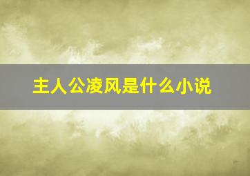 主人公凌风是什么小说