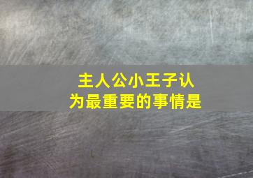 主人公小王子认为最重要的事情是