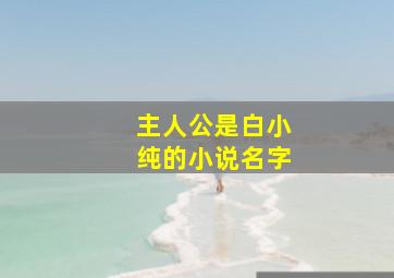 主人公是白小纯的小说名字