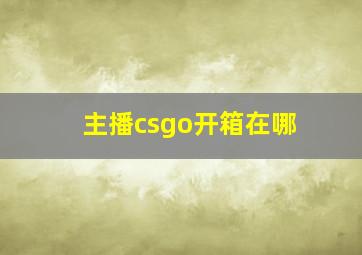 主播csgo开箱在哪