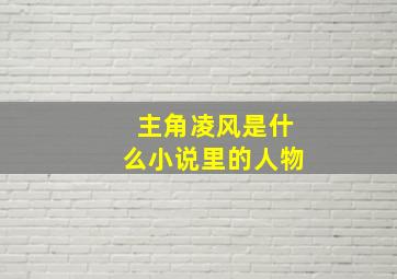 主角凌风是什么小说里的人物