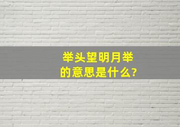 举头望明月举的意思是什么?