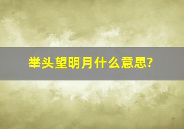 举头望明月什么意思?