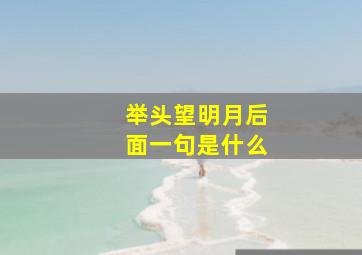 举头望明月后面一句是什么