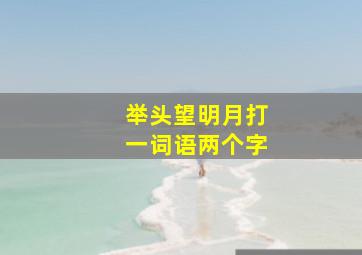 举头望明月打一词语两个字