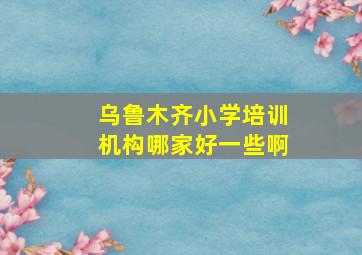 乌鲁木齐小学培训机构哪家好一些啊