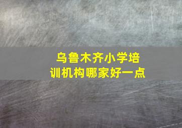 乌鲁木齐小学培训机构哪家好一点