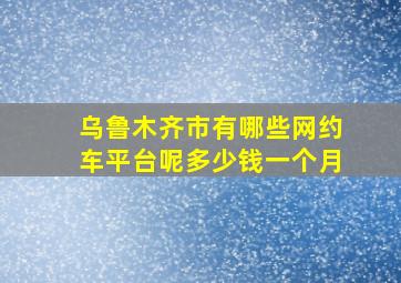 乌鲁木齐市有哪些网约车平台呢多少钱一个月