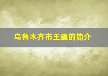 乌鲁木齐市王建的简介