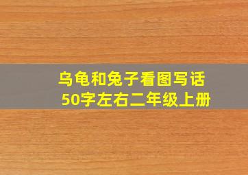 乌龟和兔子看图写话50字左右二年级上册