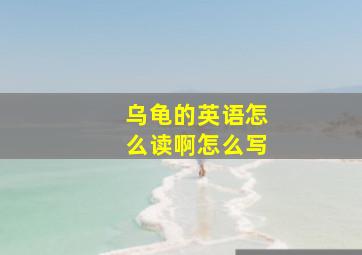 乌龟的英语怎么读啊怎么写