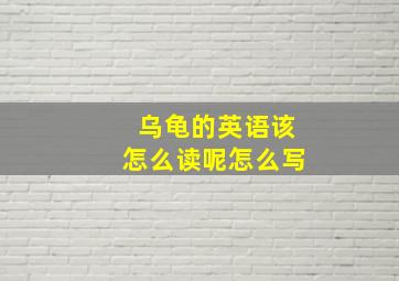 乌龟的英语该怎么读呢怎么写