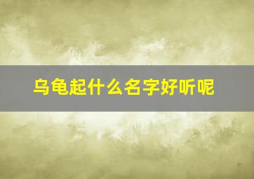 乌龟起什么名字好听呢