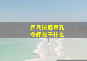 乒乓球冠军孔令辉在干什么