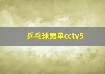 乒乓球男单cctv5