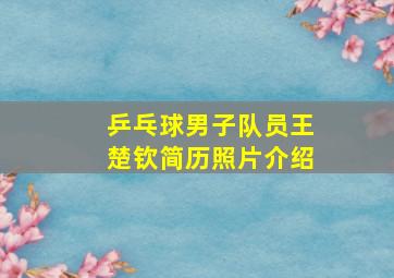 乒乓球男子队员王楚钦简历照片介绍