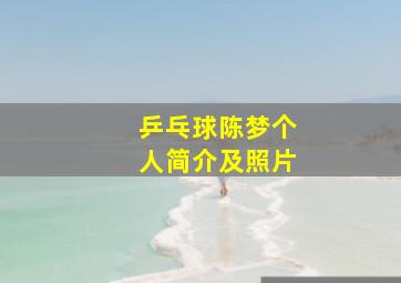 乒乓球陈梦个人简介及照片