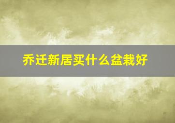 乔迁新居买什么盆栽好