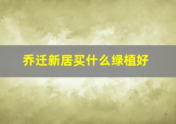 乔迁新居买什么绿植好