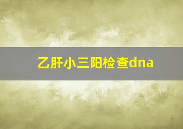 乙肝小三阳检查dna