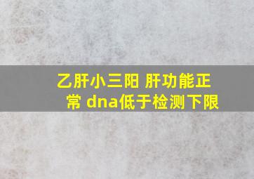 乙肝小三阳 肝功能正常 dna低于检测下限