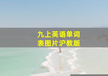 九上英语单词表图片沪教版