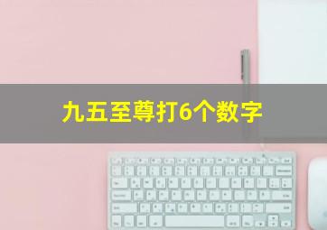 九五至尊打6个数字