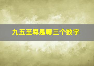 九五至尊是哪三个数字