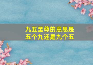 九五至尊的意思是五个九还是九个五