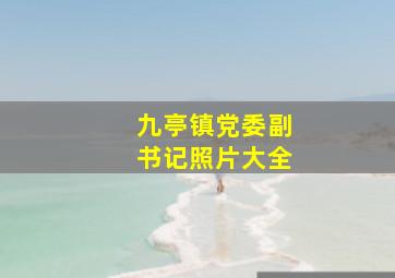 九亭镇党委副书记照片大全