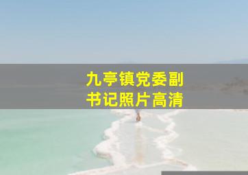 九亭镇党委副书记照片高清