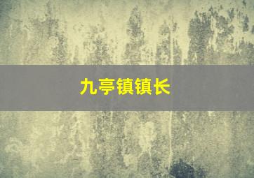 九亭镇镇长