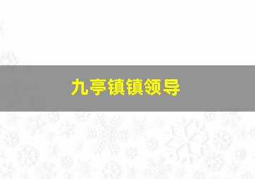 九亭镇镇领导