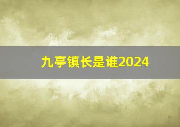 九亭镇长是谁2024