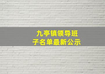 九亭镇领导班子名单最新公示