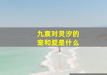 九宸对灵汐的宠和爱是什么