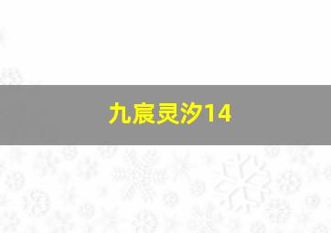 九宸灵汐14