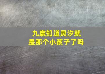 九宸知道灵汐就是那个小孩子了吗