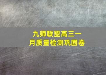 九师联盟高三一月质量检测巩固卷