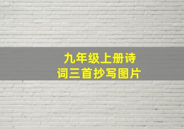 九年级上册诗词三首抄写图片